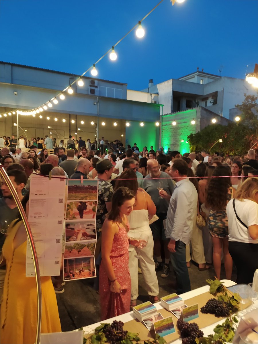 DO Binissalem tweet media