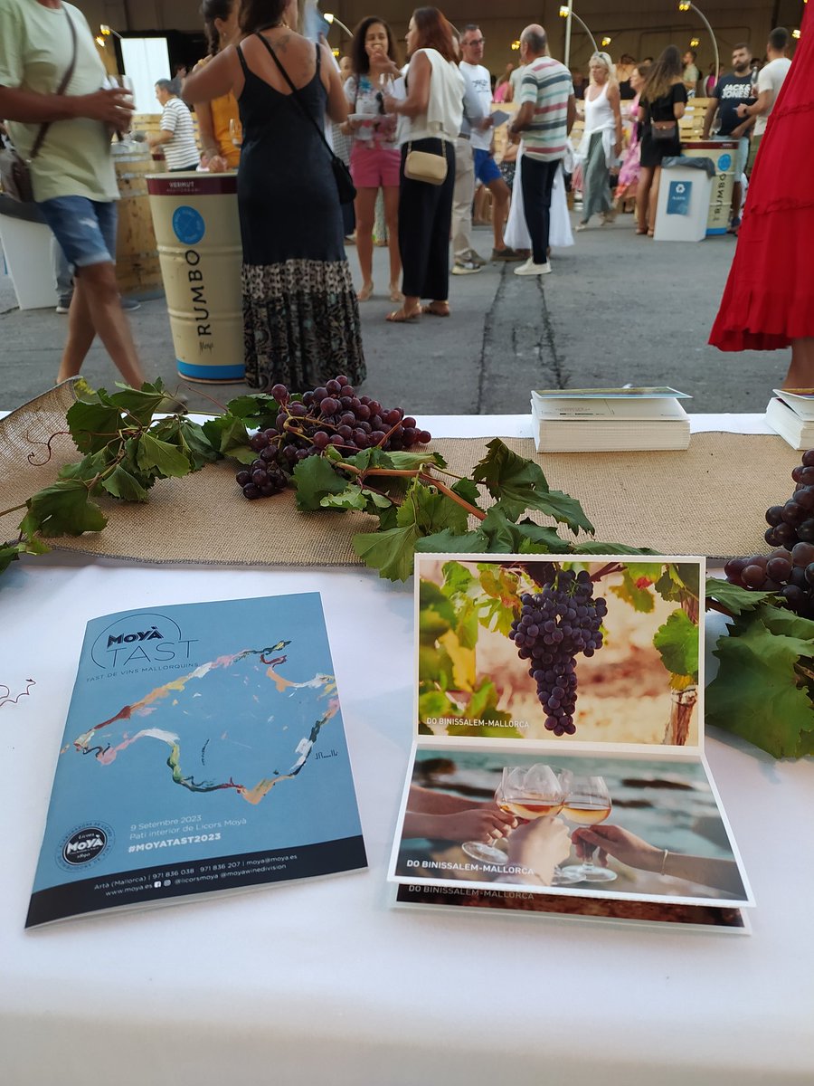 DO Binissalem tweet media