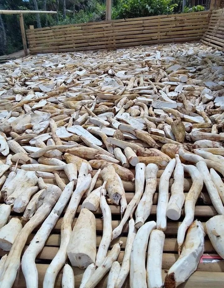 Dry Cassava from Indonesia.
wa.me/+6282179799917
ptcaldera.com