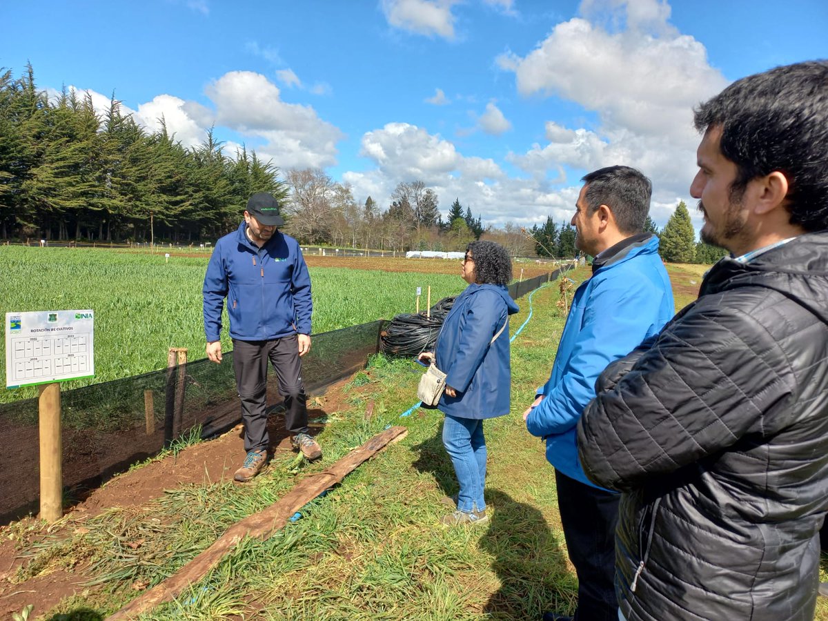 Avances del Proyecto <a href="/iniachile/">INIA Chile</a> <a href="/gorebiobio/">Gobierno Regional del Biobío</a> "Transf. tecnológica y extensión agropecuaria para productores de Prov. de Arauco" en Unidad de Trabajo en CET Cañete de <a href="/Gendarmeria_CL/">Gendarmería de Chile</a> . Rotación de cultivos, producción de hortalizas con enfoque agroecológico, uso de biopreparados.