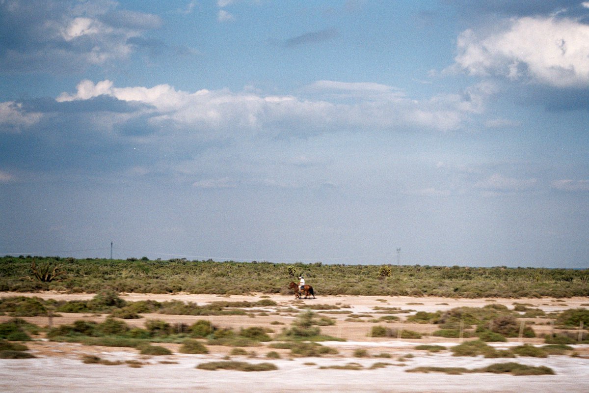 PteDeInternet's tweet photo. Diferentes Ritmos
I took this one on a roadtrip from the car window.
#1ofEdition
https://t.co/iKvtnNUNzc
#TezPhoto #NftPhoto #MetaPhoto https://t.co/CzUIbDaACv