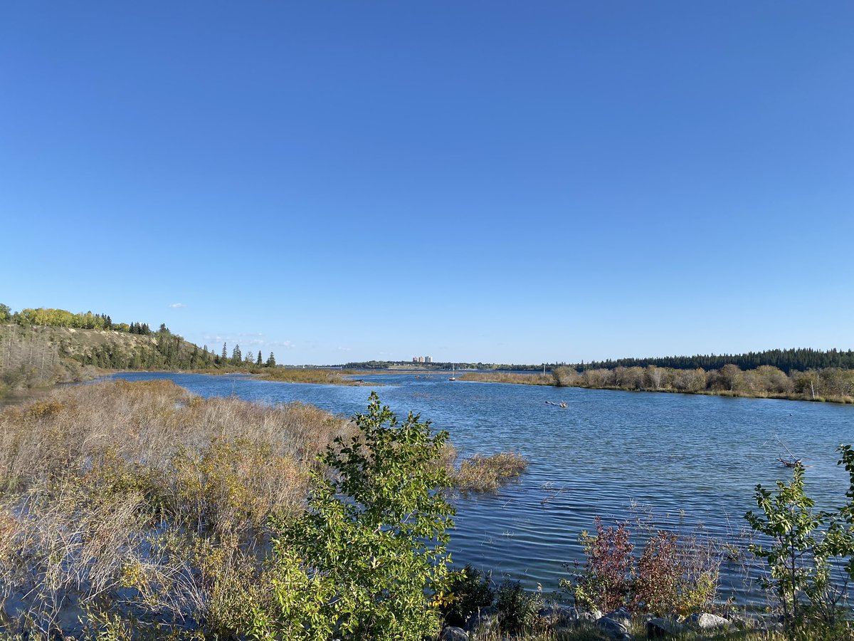 Chief_Cecilia's tweet photo. You’re not too bad #Calgary #glenmorepark https://t.co/eD29cJQYf4