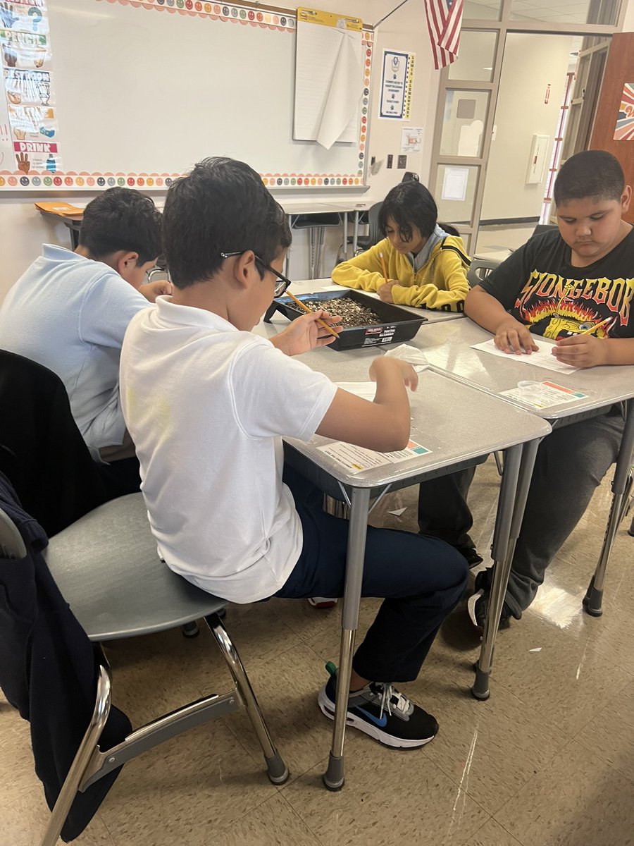 Rosanna Lamanoco tweet media