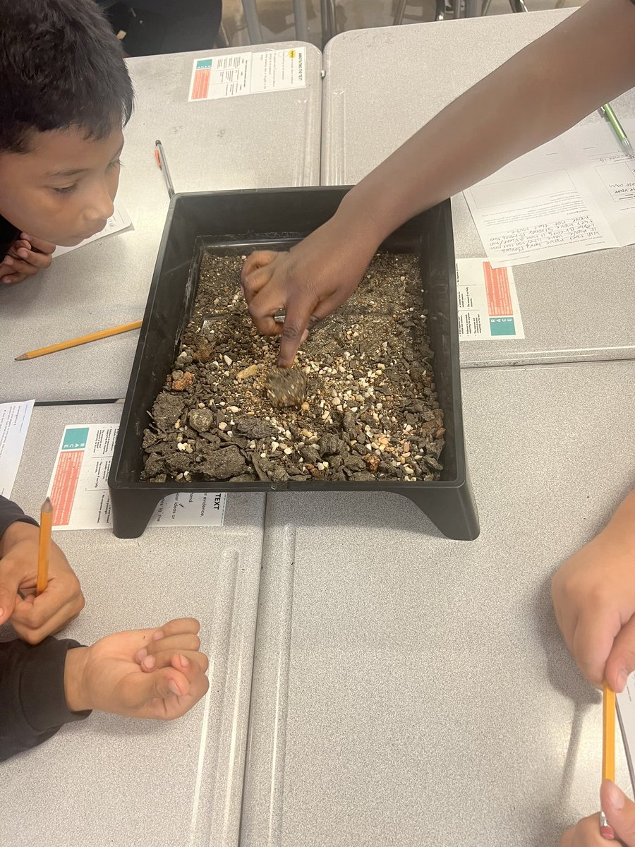 Rosanna Lamanoco tweet media