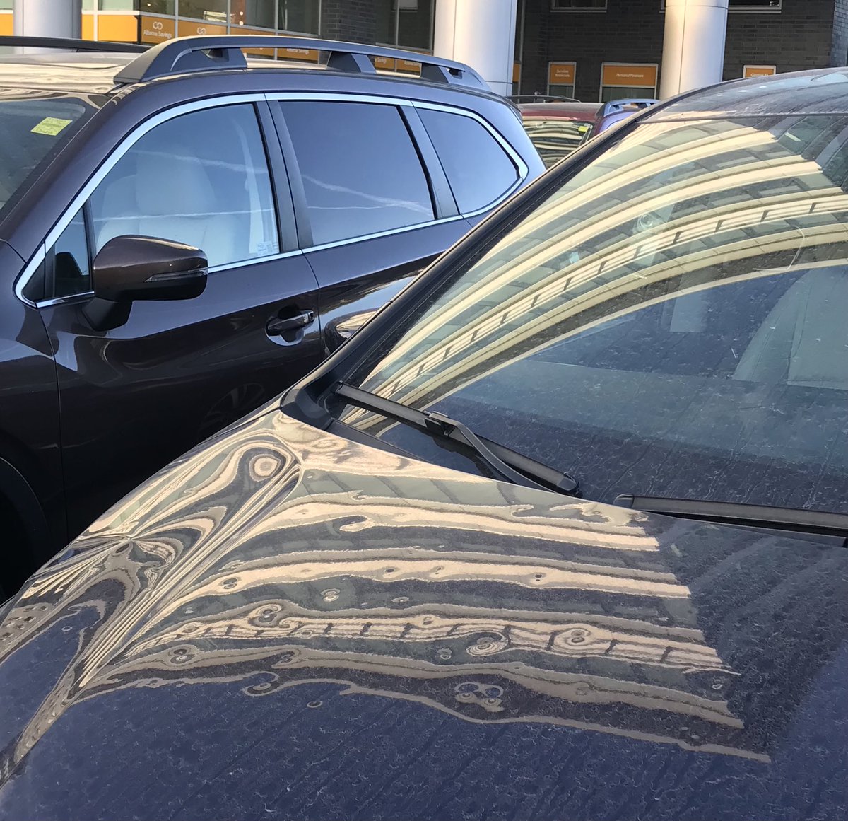 Marbled endpapers, or one of the hail-damaged hoods in the car lot on McRae Ave?