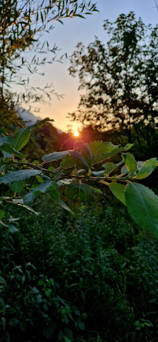 sunset made in Austria 🌇