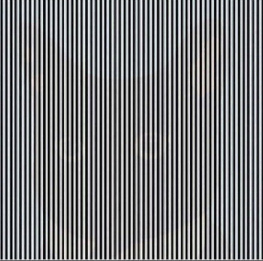 Eye test.... What animal do you see?
