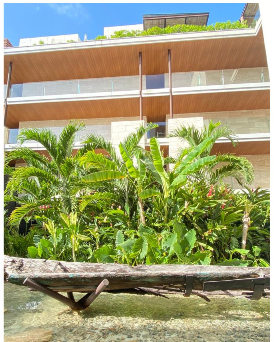 YucatanResort's tweet photo. - Escaping reality
- Escapar de la realidad
#TheYucatanResort https://t.co/OZgmu6tvKN