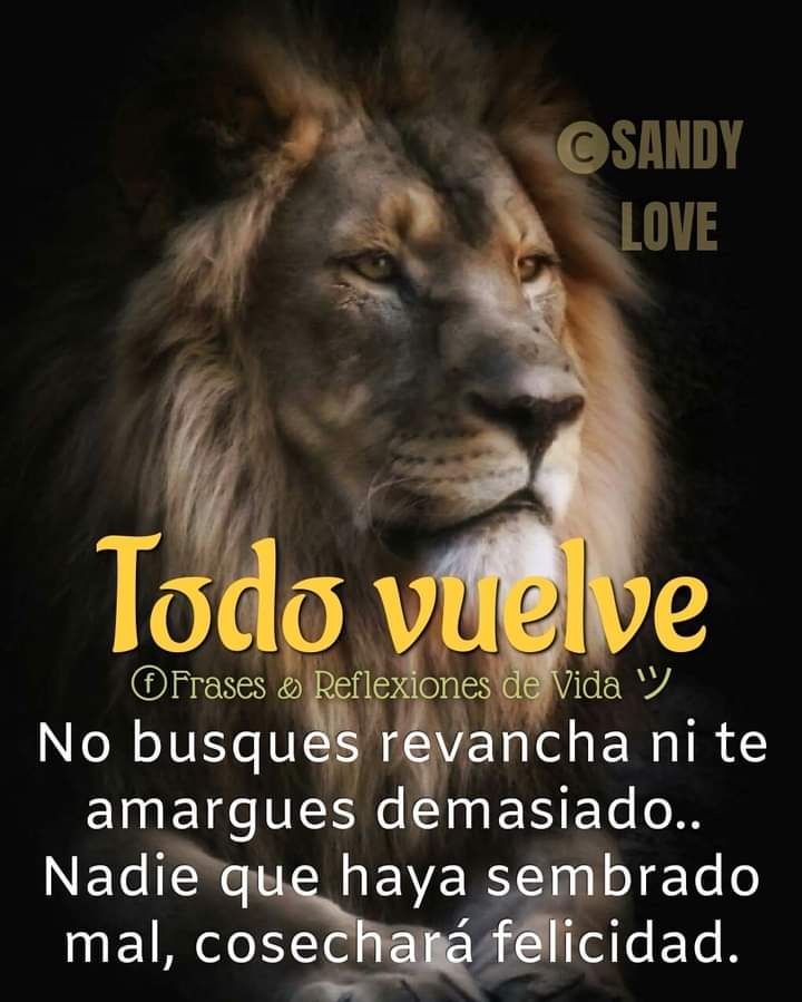 BelenGa40221392's tweet photo. #SiguemeYTeSigo #SiguemeYTeSigoVOX #SiguemeYTeSigoDeVuelta #sigueme #SiguemeYTeRecomiendo #SabadoDeGanarSeguidores https://t.co/8omNtbdLkb