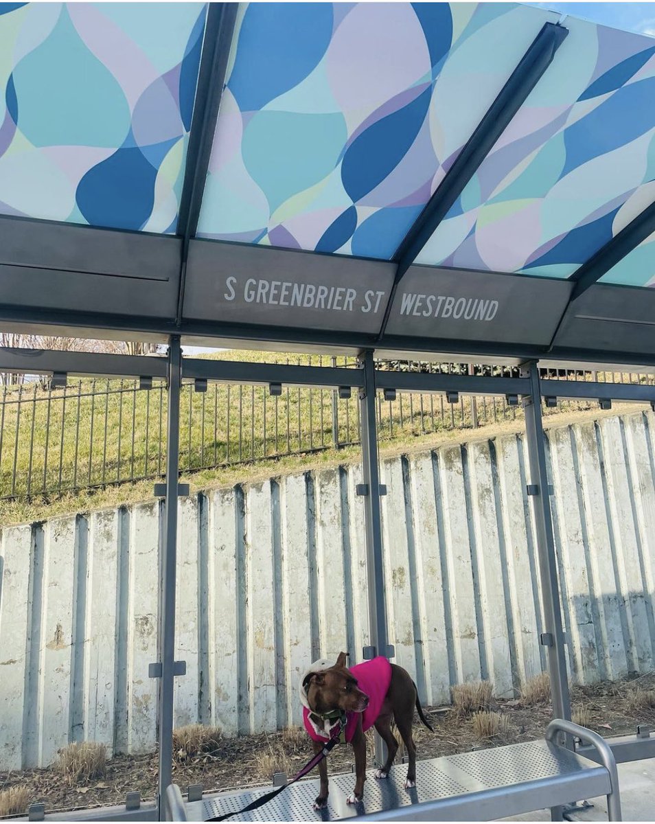 KimKlingler's tweet photo. Another #walk on #columbiapike
In Feb we showed #new #transitstations (1st pic)
Today the same #ThePalazzo #wall is being prepped for #painting π¨
Thxs @ArlingtonVA @ARL_Arts @ArlingtonDES @columbiapikeva #spencerfinch
Love #CocoTheQueenBee ππΆππ@lostdogrescue #alumni https://t.co/gWOSCBQ5ec