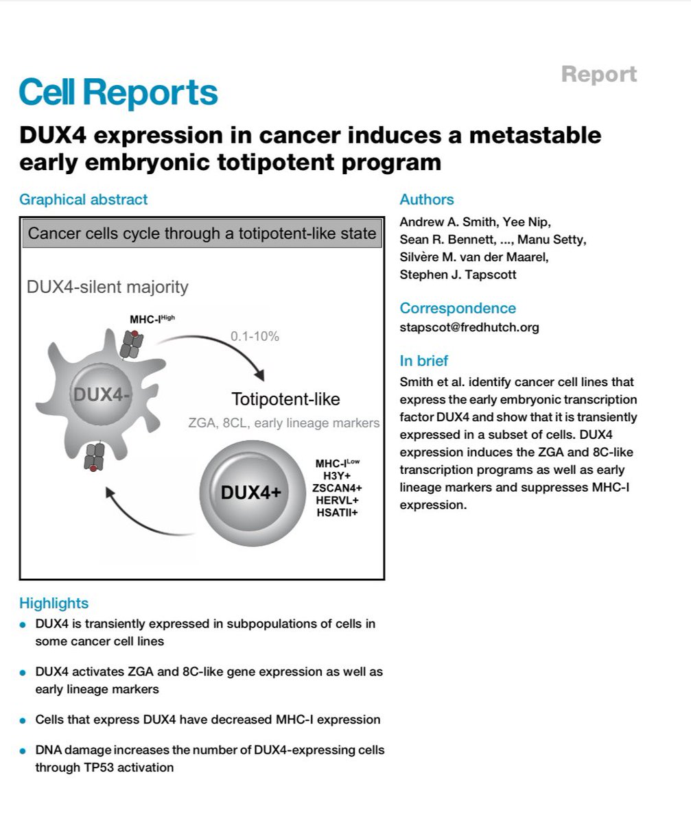 Proud to have contributed to a study of the Tapscott lab on the role of DUX4 in cancer
