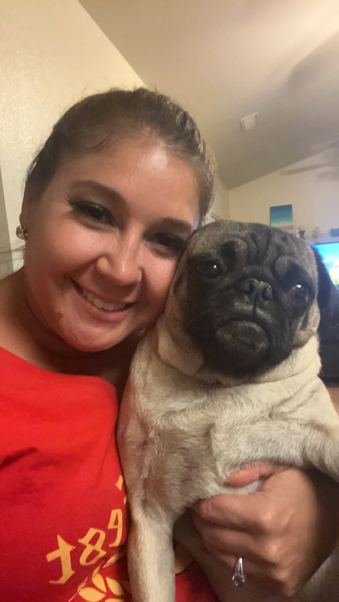 GeneralRoscoPUG's tweet photo. Mommy has some drinks and had a mini photo shoot with me 🥰. #puglove #puglife #pugsoftwitter #pug https://t.co/ajhwtubvxQ