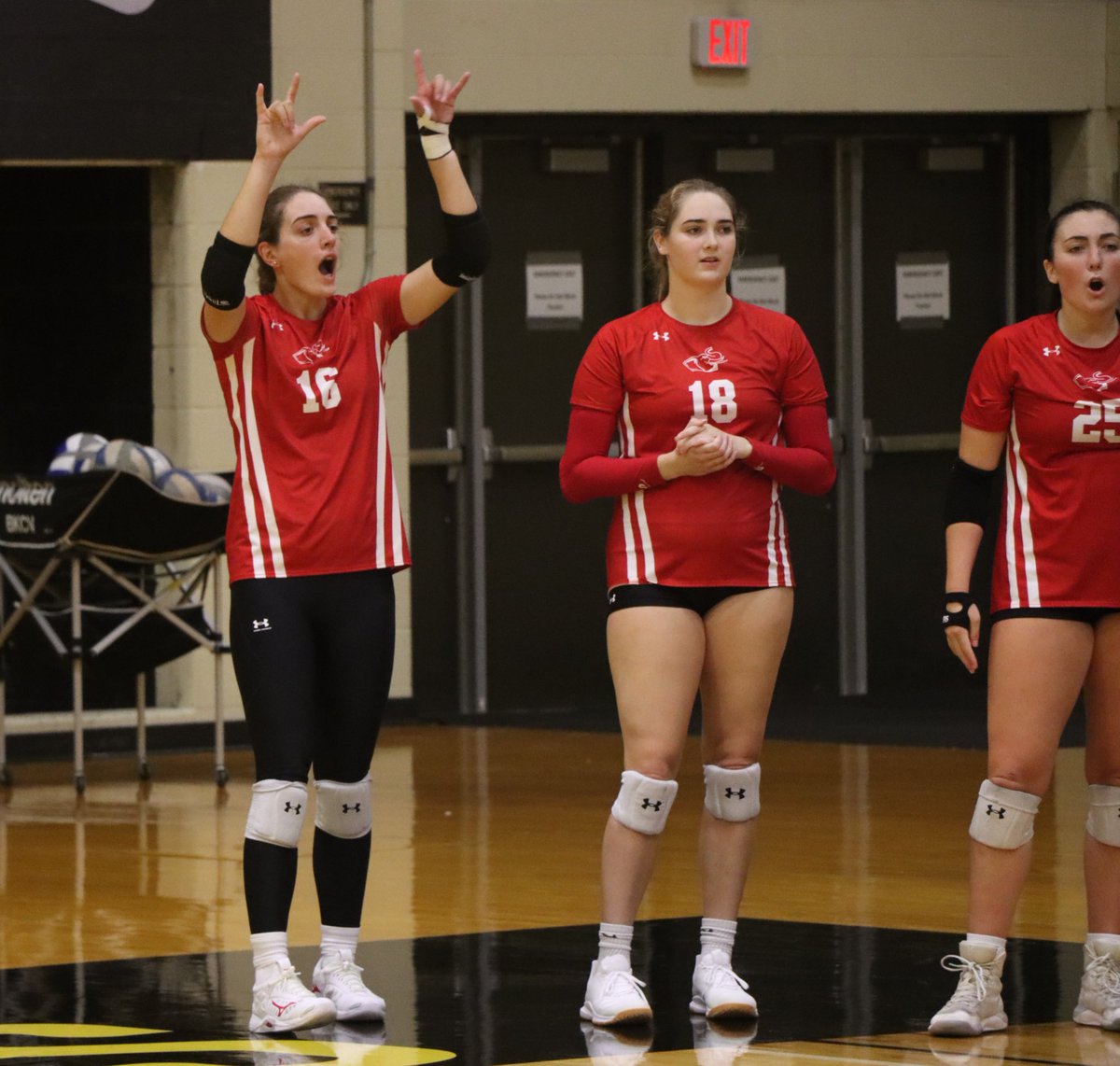 RHITvolleyball's tweet photo. I like it. I love it. I want some more of it 🤟🏼 
❗️3-0 at the MIAA Crossover Tournament this weekend ❗️
#GoRose #RHITVB https://t.co/oyUV6kBhWa