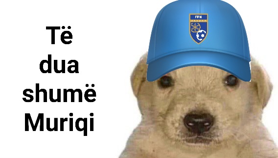 FootballKosovo's tweet image. IT&apos;S HIM AGAIN! MURIQI!

🇽🇰 [2]-2 🇨🇭

#KOSSUI | #EuropeanQualifiers