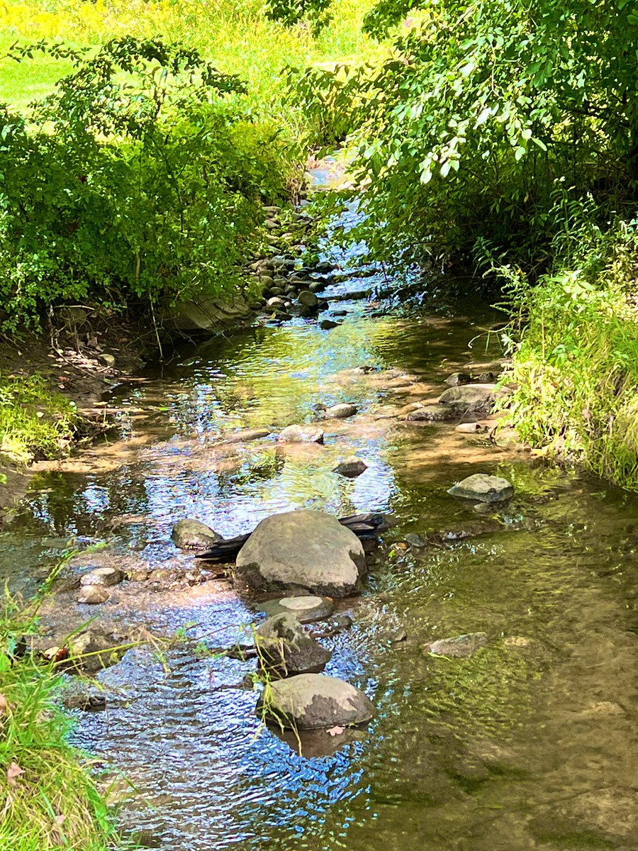 Danielle Ruskin NCSD BOE Vice President tweet media