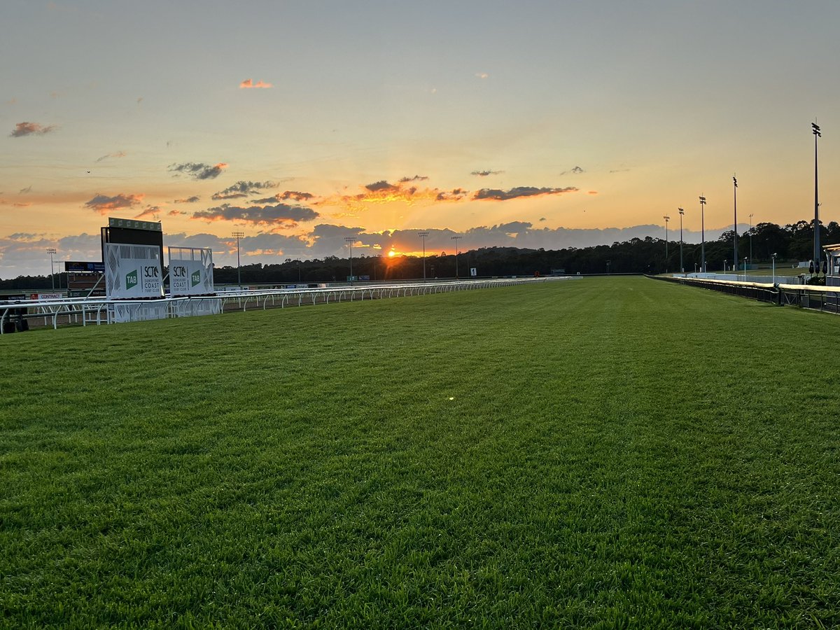 SCTurfClub tweet media