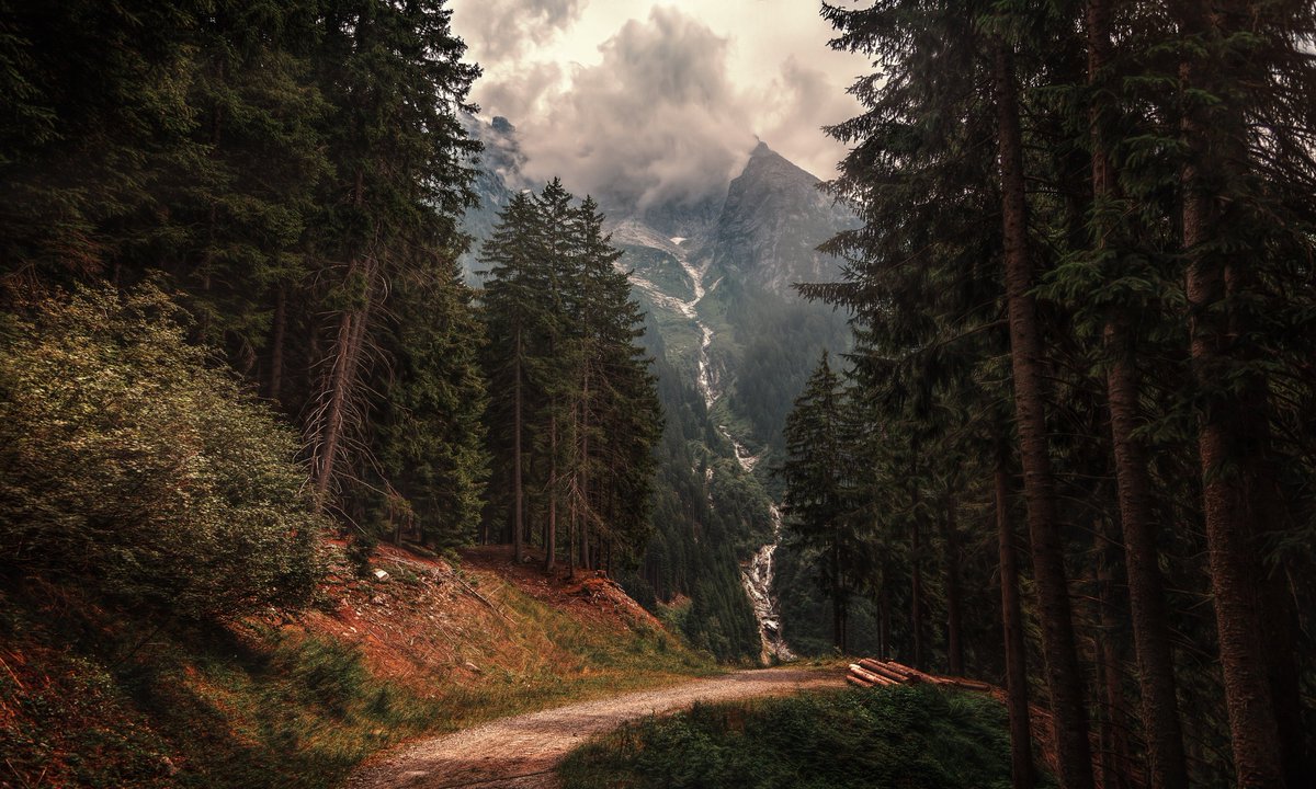 emiliothis_'s tweet photo. a majestic scene among the trees of the mountain forest
#mountains #trees #nature #naturelovers #landscape #landscapephotography #naturephotography #scenery #beautifulview #wonderful_places #awesomeearth #wallpapers #outdoors #travel #camping #adventure #lifestyle https://t.co/fnCPe5kPO0