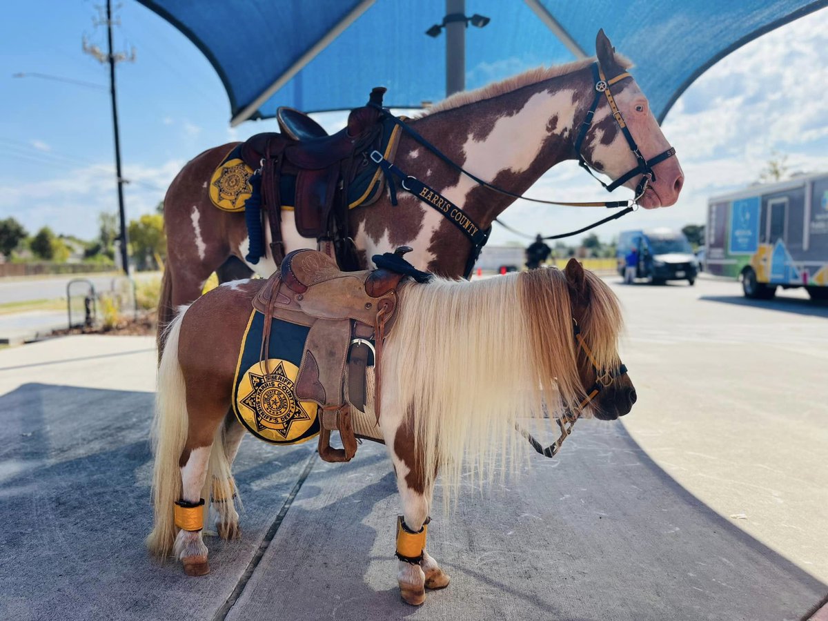 Raising awareness at the Health Fair today. The community enjoyed health screenings, free haircuts, food trucks, time with the HCSO-Mounted, Chief, &amp; more! <a href="/HCSOTexas/">HCSOTexas</a>