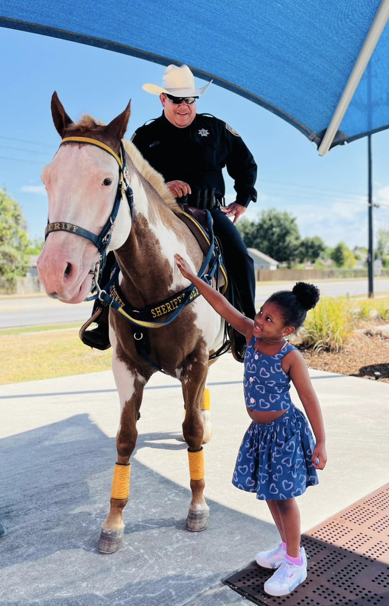 HCSO Mounted Patrol/Livestock tweet media