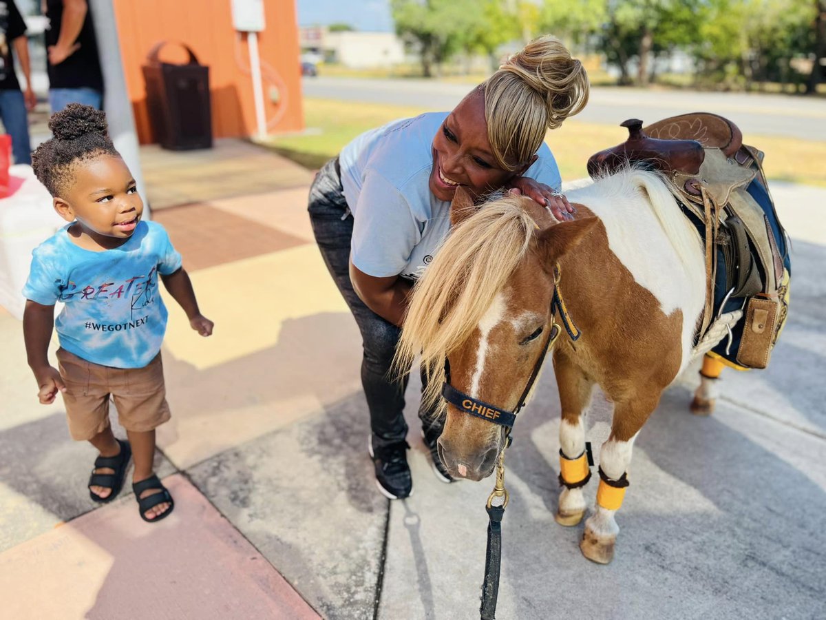 HCSO Mounted Patrol/Livestock tweet media