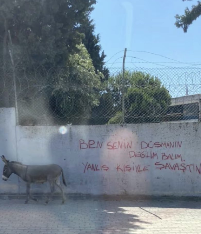 Gülşen (@cinbiber03) on Twitter photo 