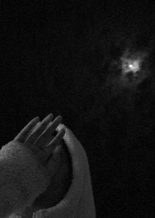 Alya__0O's tweet photo. Gece kendinle baş başa edilen duaların samimiyetine inanıyorum... https://t.co/z6LiffFoMt