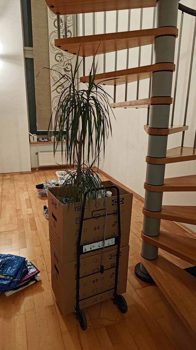 Plant friend going on an adventure