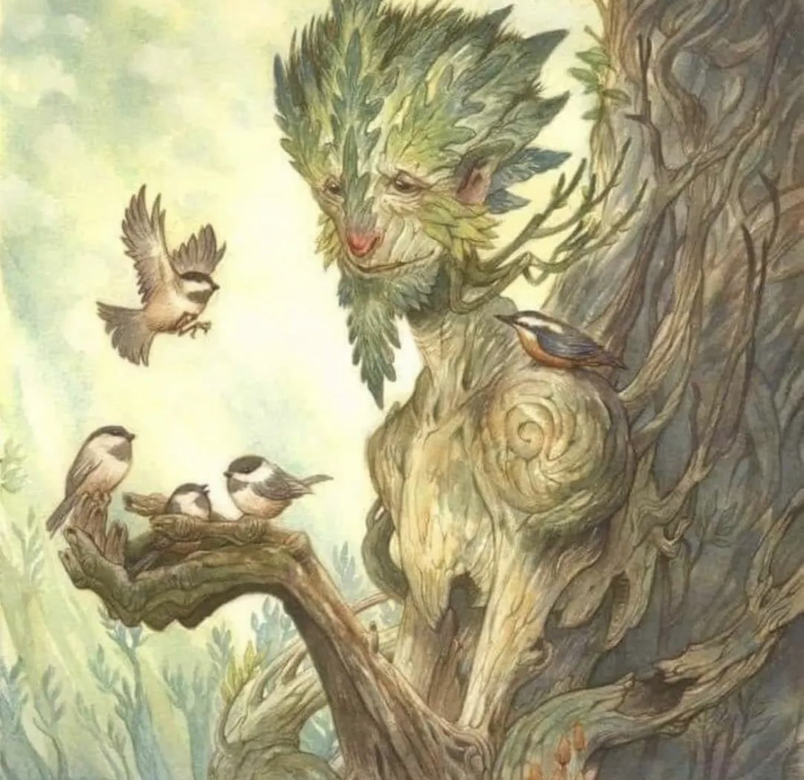 RECUERDA PEDIR PERMISO …Antes de cortar la rama de un árbol o quitar una flor, dile al espíritu del árbol o de la planta lo que vas a hacer, para que retire su energía de ese lugar y no sienta el corte tan fuerte.
Cuando vayas a la naturaleza y quieras tomar una piedra que