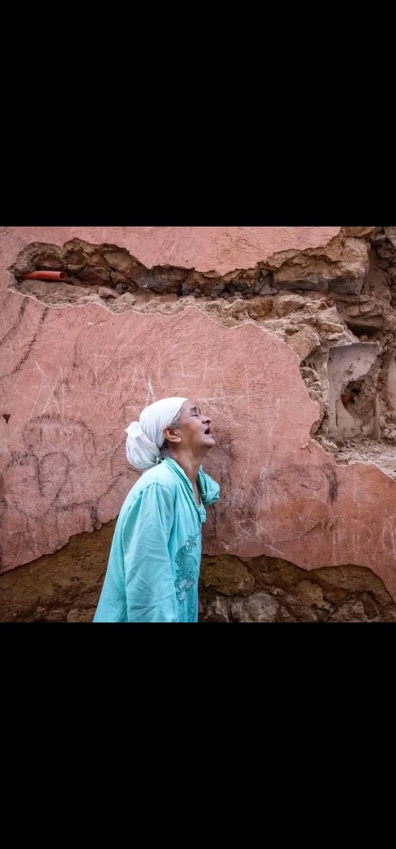 nabila freidji tweet media