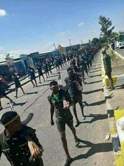 ፋኖ በከፍተኛ ፍጥነት ወደ አአ እየገሰገሰ ነው፥

የአማራ ሕዝባዊ ግንባር #ፋኖ የጠላትን ሀይል እየደመሰሰና እየማረከ በሁሉም አቅጣጫ ወደ ዋና ከተማዋ አዲስ አበባ እያመሩ መሆኑን መረጃዎች እየወጡ ነው።

ድል ለአማራ ሕዝባዊ ግንባር ፋኖ ...!!!