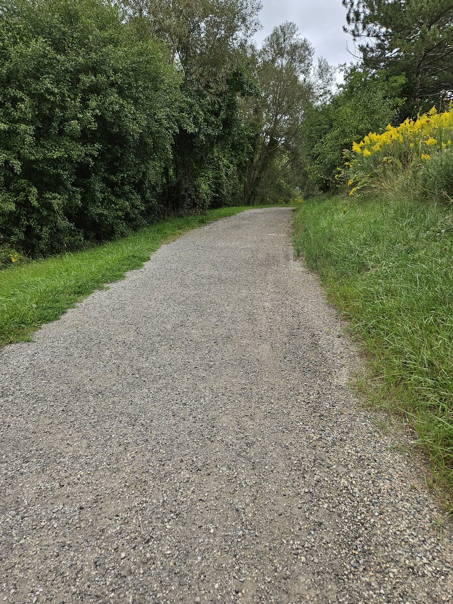 debbiechapman1's tweet image. Took the Henry Sturm Trail to get to the Forest Heights Community Centre open house. The creek in Filsinger Park is looking good. @CityKitchener #naturalized