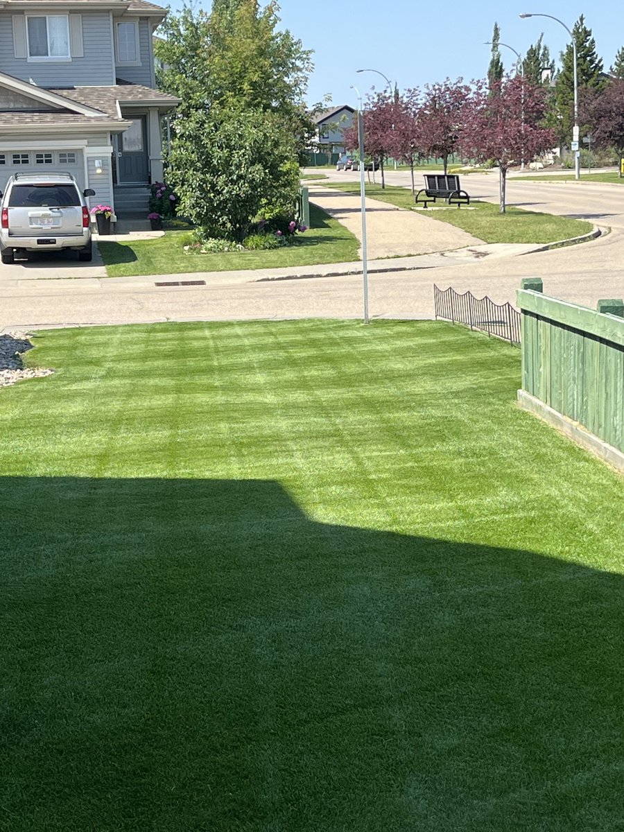 TheRyanZap's tweet photo. @mouthbreather Me and my lawn thank you. I’m still going to water https://t.co/7SxzY1OoWB