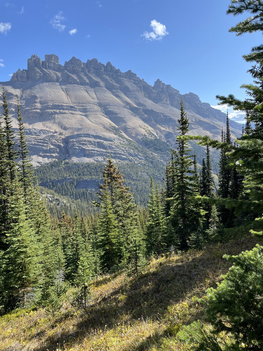 @Staudt1 tweet media