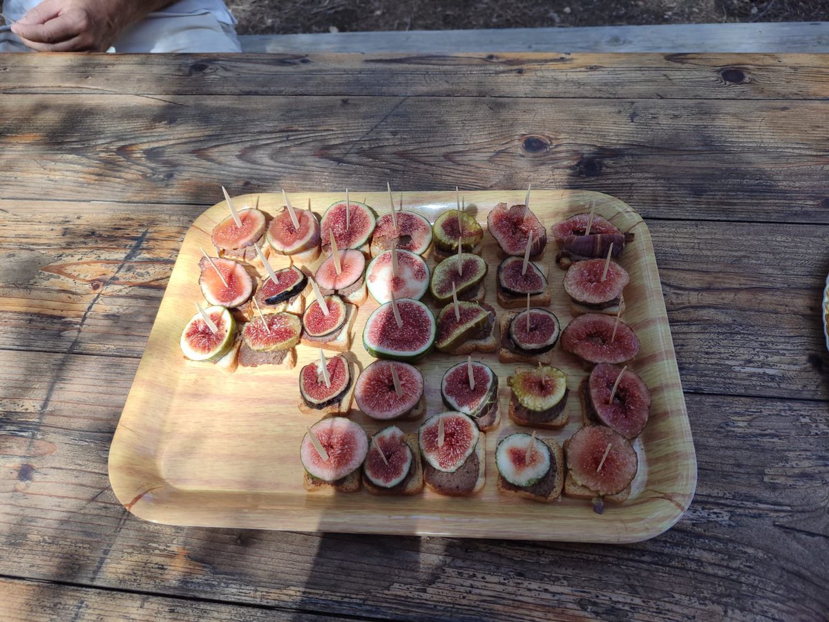 ARBREBALEAR's tweet image. A Son Mut Nou hem degustat alguns productes realitzats amb #figues: melmelades, pa de figues, figues seques, aiguardent, vi, cervesa, oli, chutney, paté i fins i tot cafè de figues.
Gràcies a Monserrat i el seu equip, i a tots els assistents.
L'any vinent repetirem 😋 #ABA