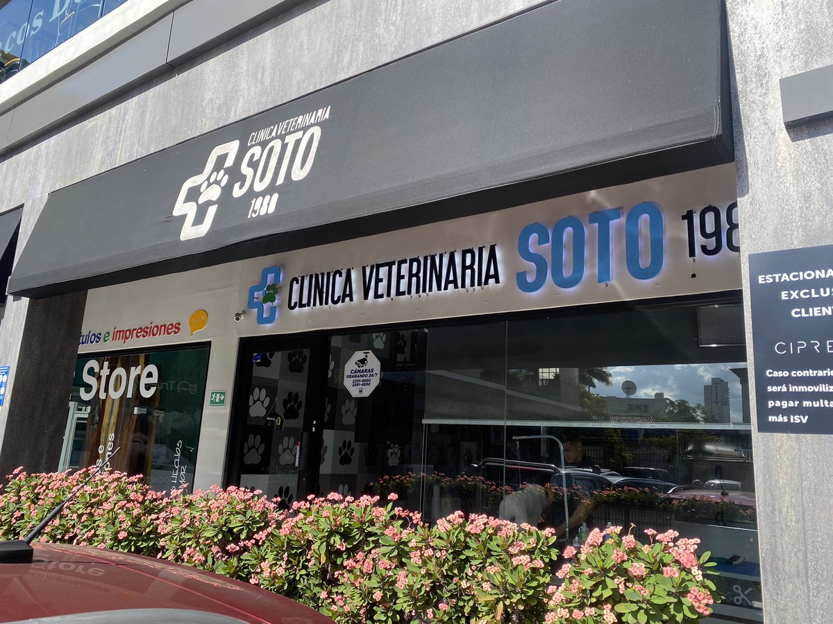 monicaepinedam's tweet photo. 1/3 Hoy a las 3pm tenía cita de grooming para mi perrito en el local de Veterinario Soto ubicado en plaza Cipreses cuando al estar entrando al local se nos acerco una señora la cual nos rogó que por favor no llevaramos a mi perrito ahí. https://t.co/kPgS1QOzLd