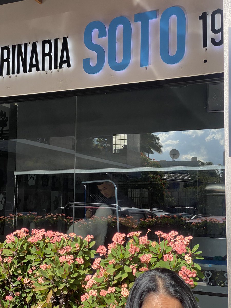 monicaepinedam's tweet photo. 1/3 Hoy a las 3pm tenía cita de grooming para mi perrito en el local de Veterinario Soto ubicado en plaza Cipreses cuando al estar entrando al local se nos acerco una señora la cual nos rogó que por favor no llevaramos a mi perrito ahí. https://t.co/kPgS1QOzLd