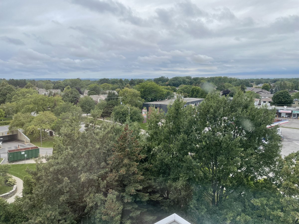 #green #trees #burlington #Ontario