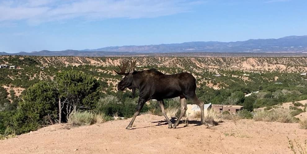 Grant Tosterud tweet media