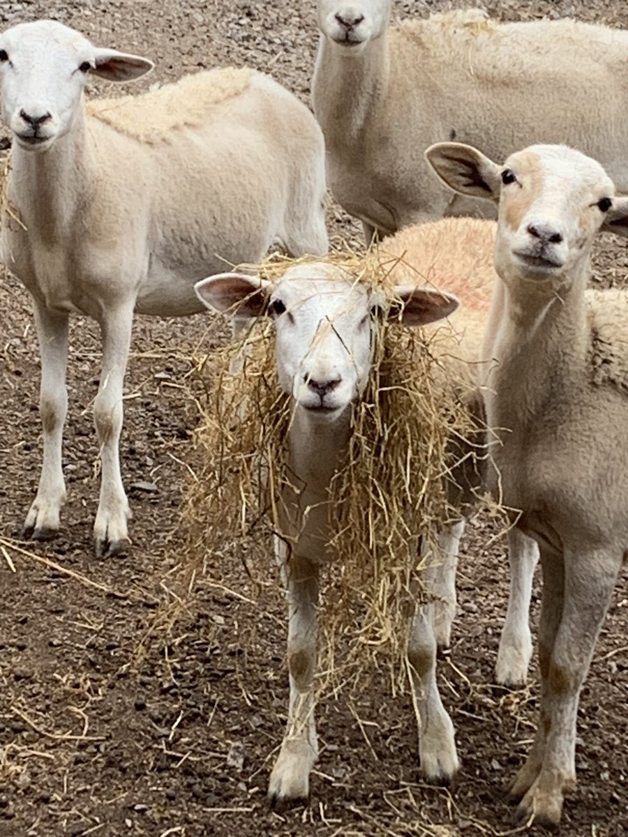 Jim Wright tweet media