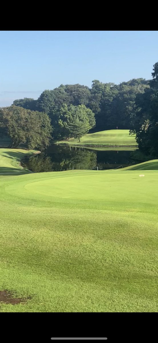 danbyT88's tweet photo. 月一のゴルプ⛳️← https://t.co/M5NxiC2lKs