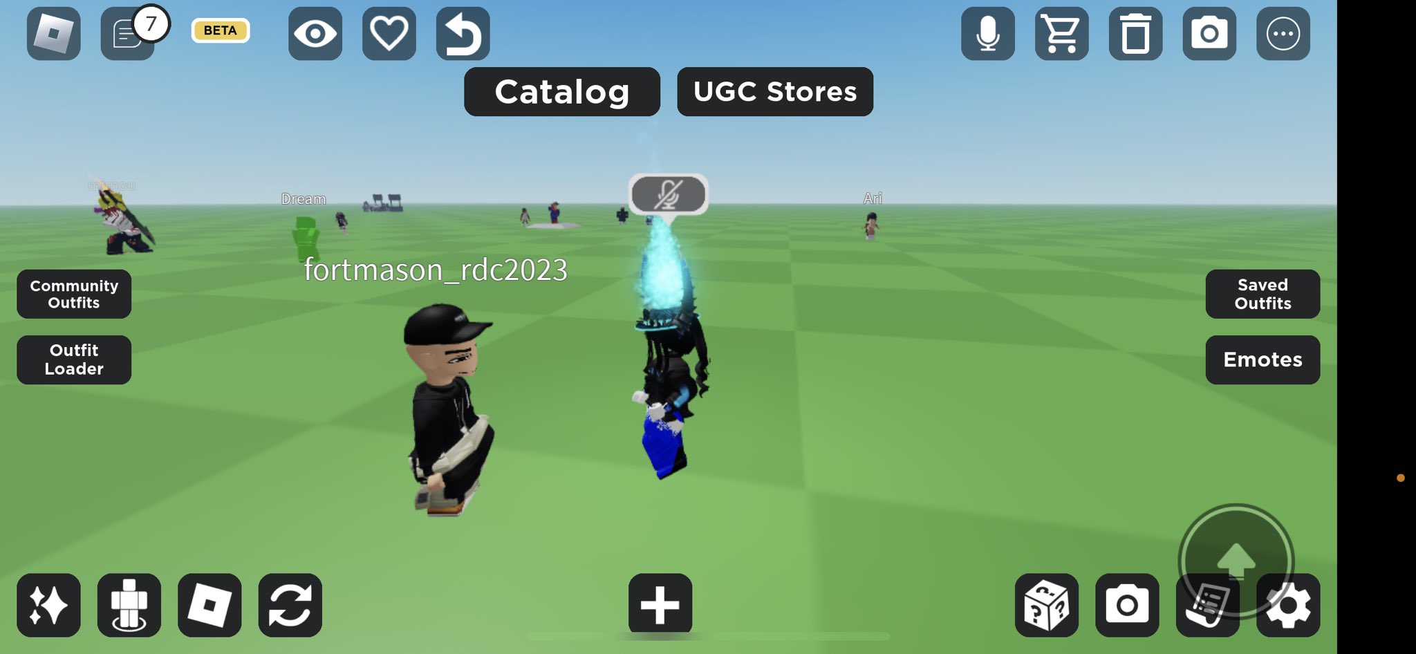 id de emotes no roblox brookhaven