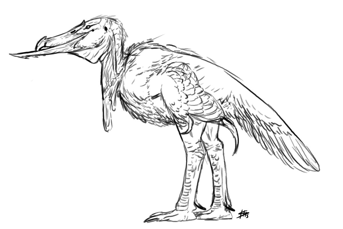 Mr.LeCroc tweet media