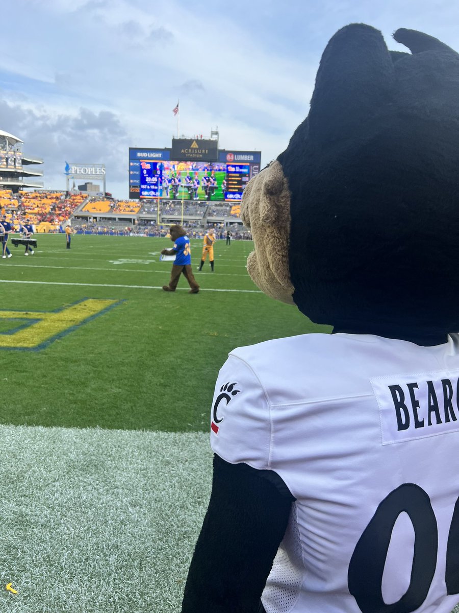 Enemy has been spotted😈🐾