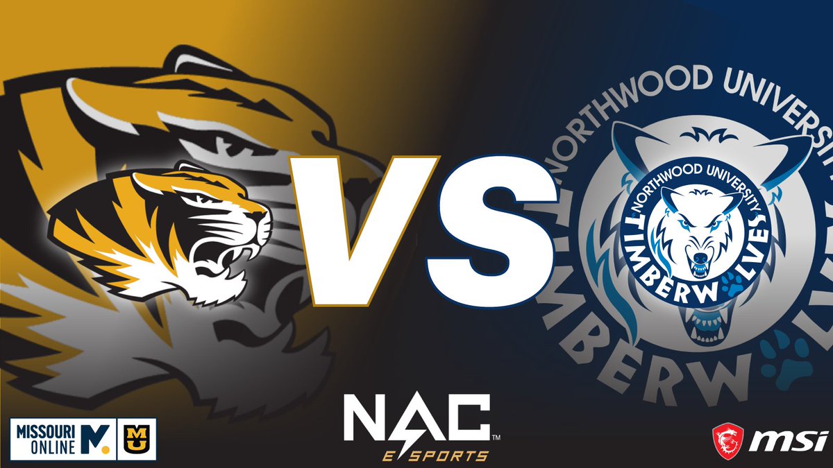 Brandoroni tweet media