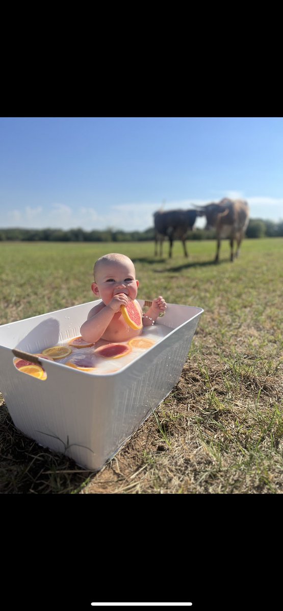 livclark8784's tweet photo. Just a boy , and his cows ❤️ https://t.co/i4QSUDCsGm