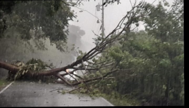 Via cerrada por caída de árbol a la altura de Olá cabecera , vía la zota en dirección San Roquito. 
Olá Coclé <a href="/Sinaproc_Panama/">SINAPROC PANAMA</a> #Coclé @SENANPanama <a href="/gobcocle/">Gobernación de Coclé</a> <a href="/mifavorita919/">Radio Mi Favorita</a> <a href="/ElenaValdez1/">Lic. Elena Valdez</a>