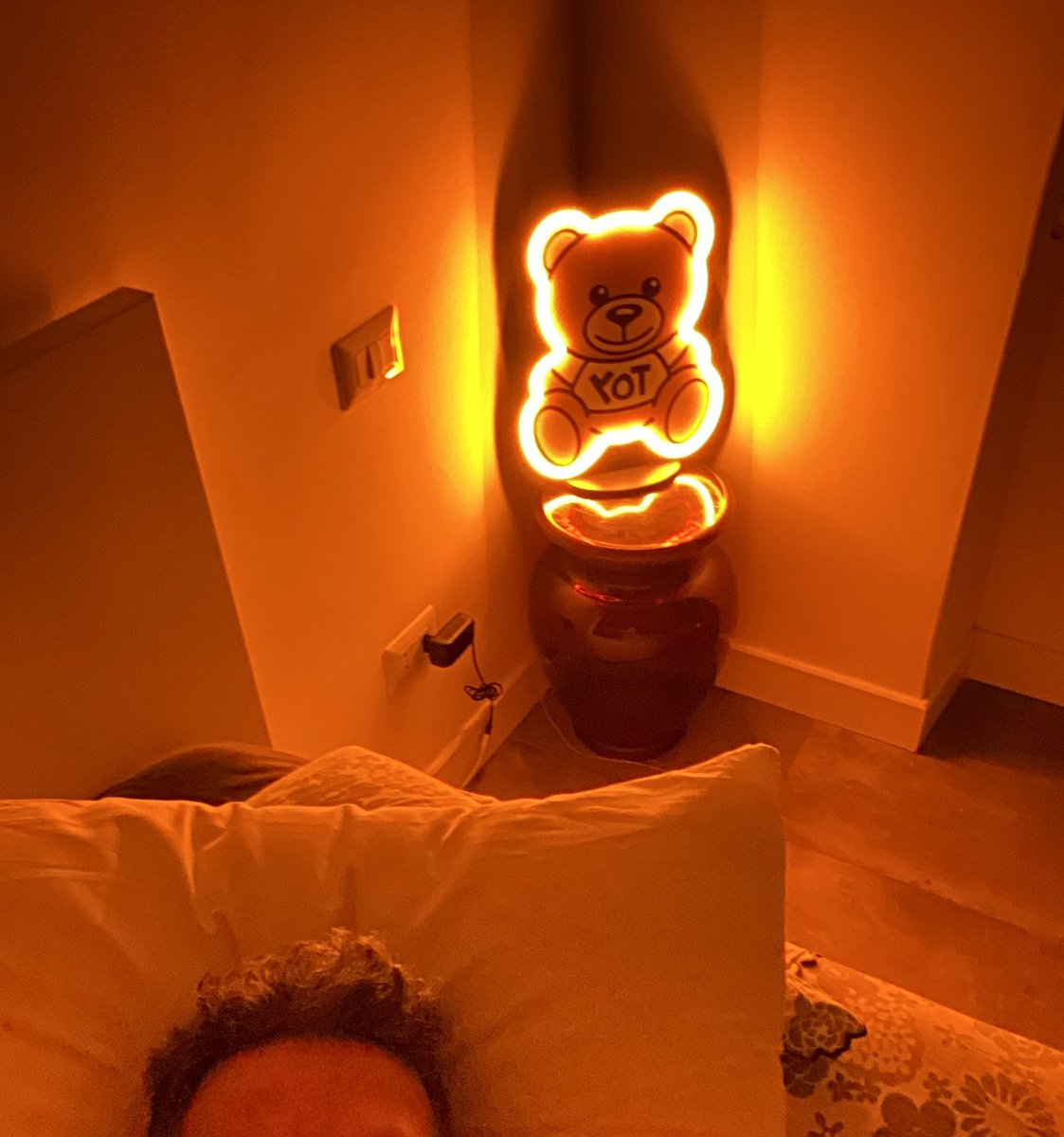 Notte romana 
#bear #orsiitaliani