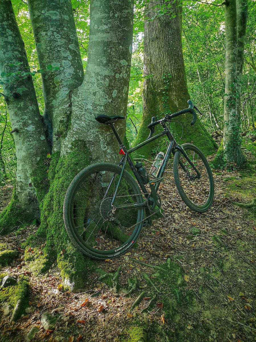 A nice detour above the Wray Valley trail, at Parke

#cyclinglife #cycleseptember @wearecyclinguk @lovetorideglobal #dartmoor #photosofmybikeleaningagainststuff #escapetheheat #woodland #sonderstories #camino #cyclotherapy #behindbars