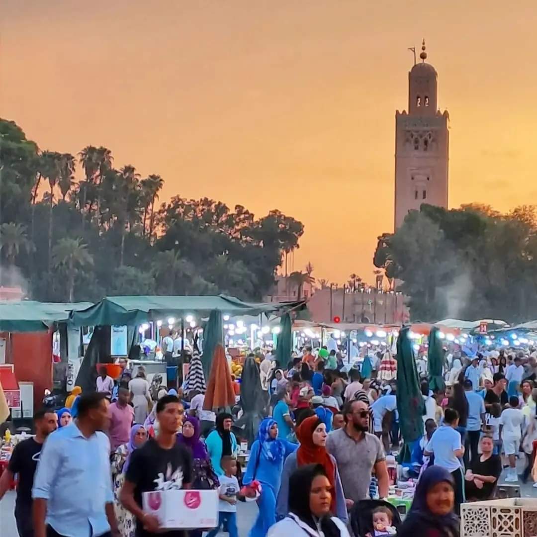 Raquel Lenza tweet media