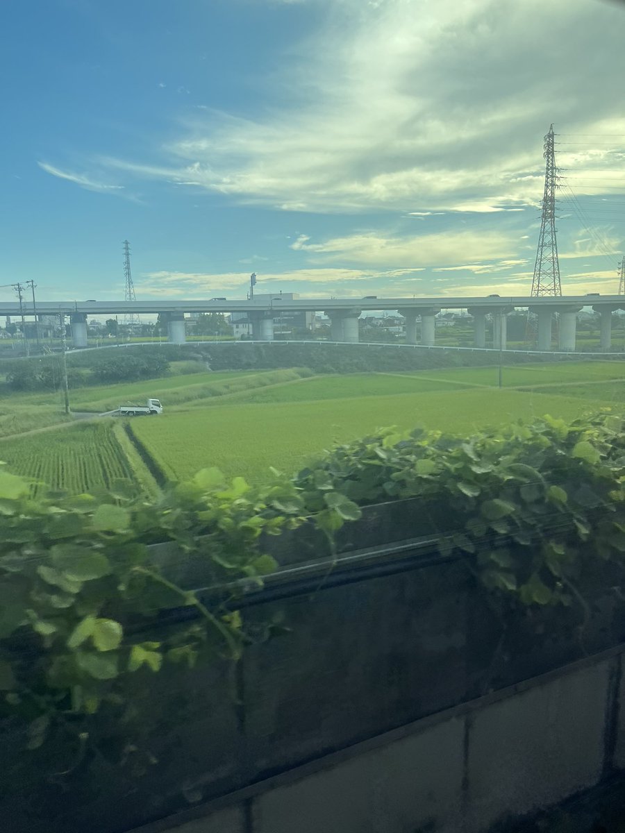 Qo2uzMs's tweet photo. @muu_kaba_dental はい！今はココです笑
カバさんのご期待通り、とよみん動いております✌️✨ https://t.co/XWt3agcNHE